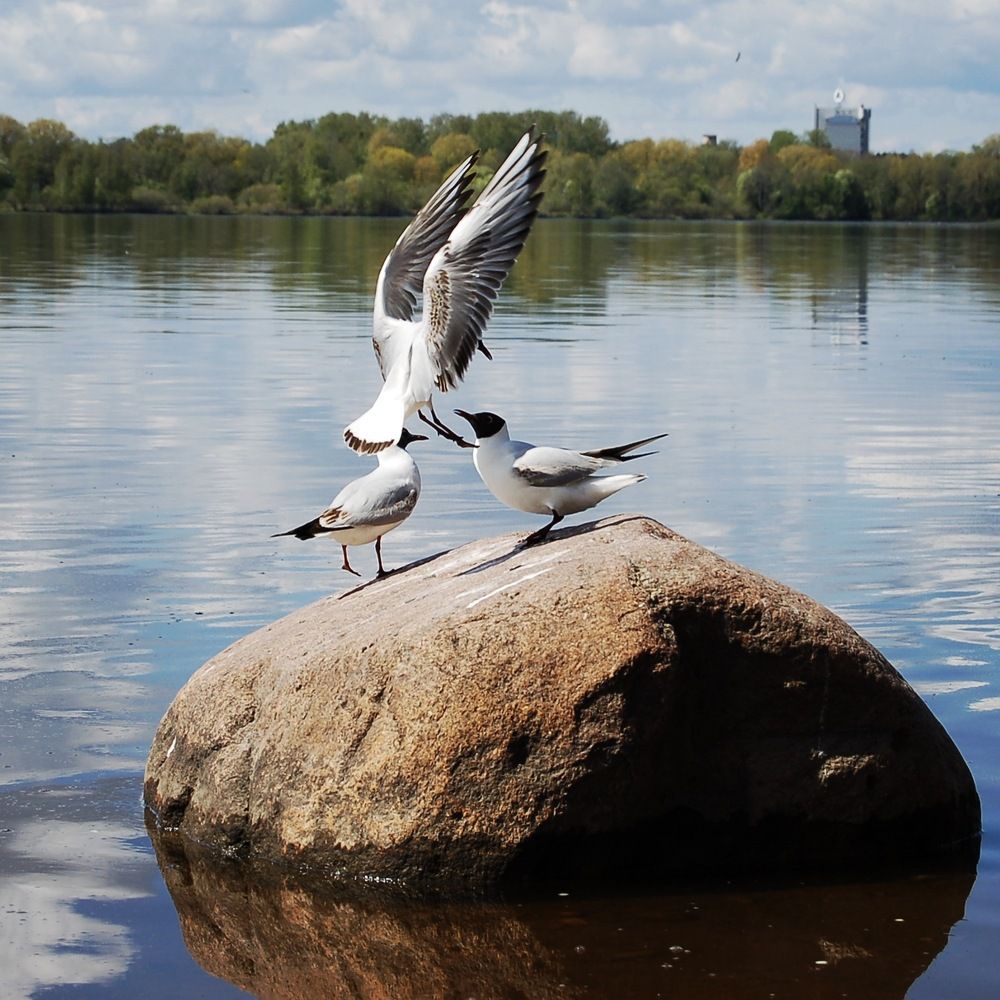Photograph by Елена Сушкова