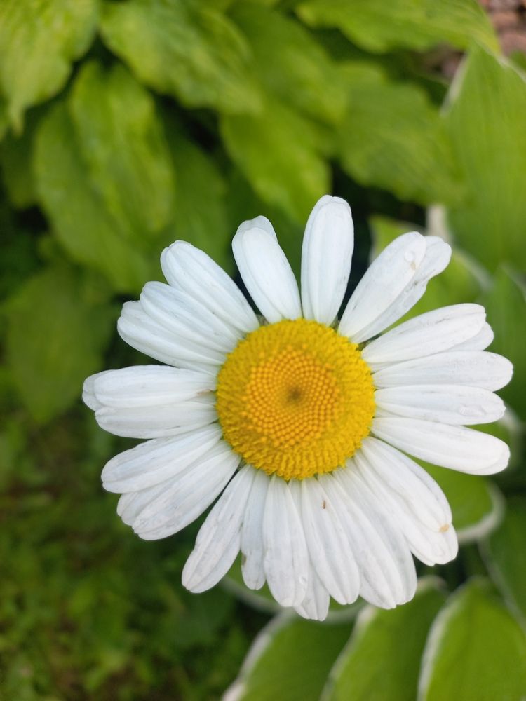 Photograph by Пенежина Екатерина