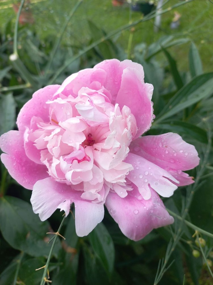 Photograph by Пенежина Екатерина