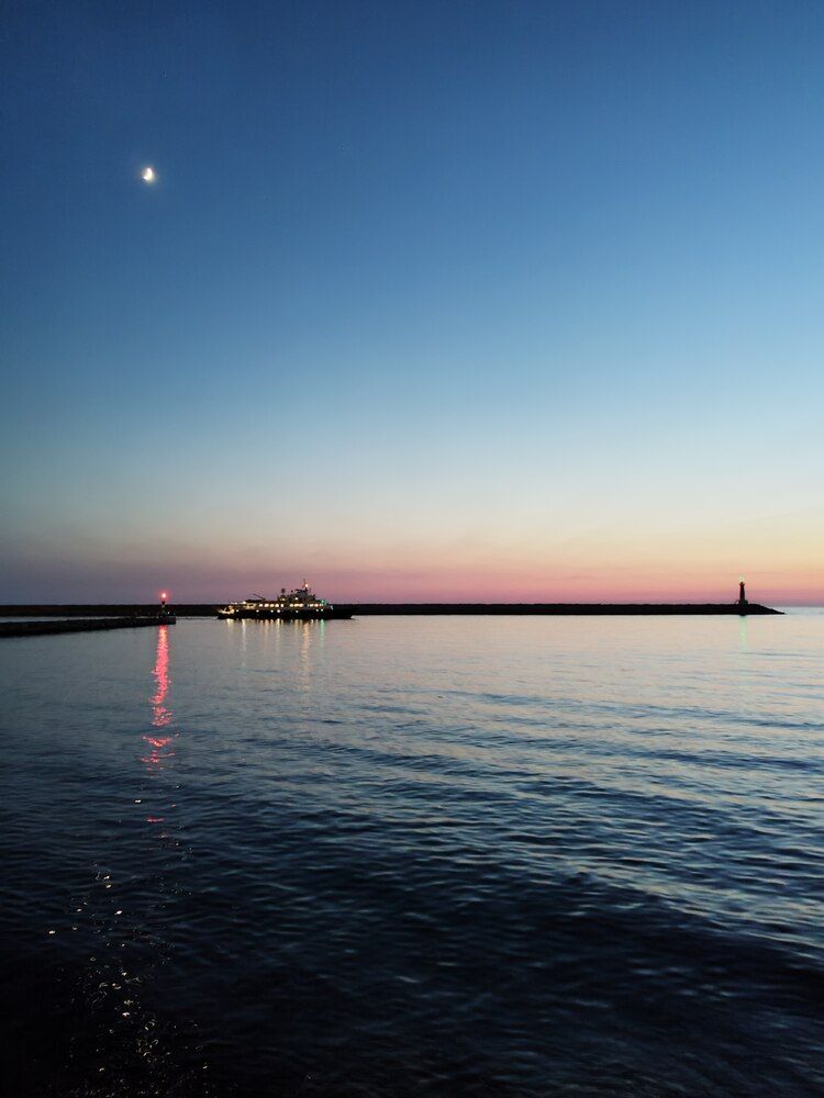 Фотография автора JELENA VASIC