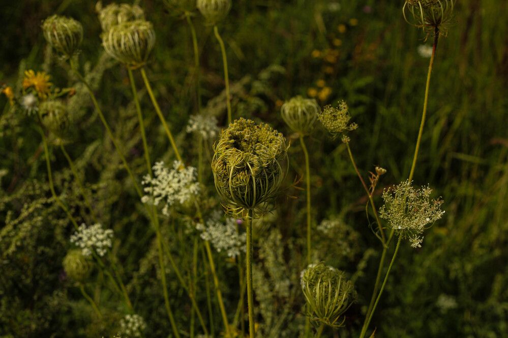 Photograph by Наталия Козлова