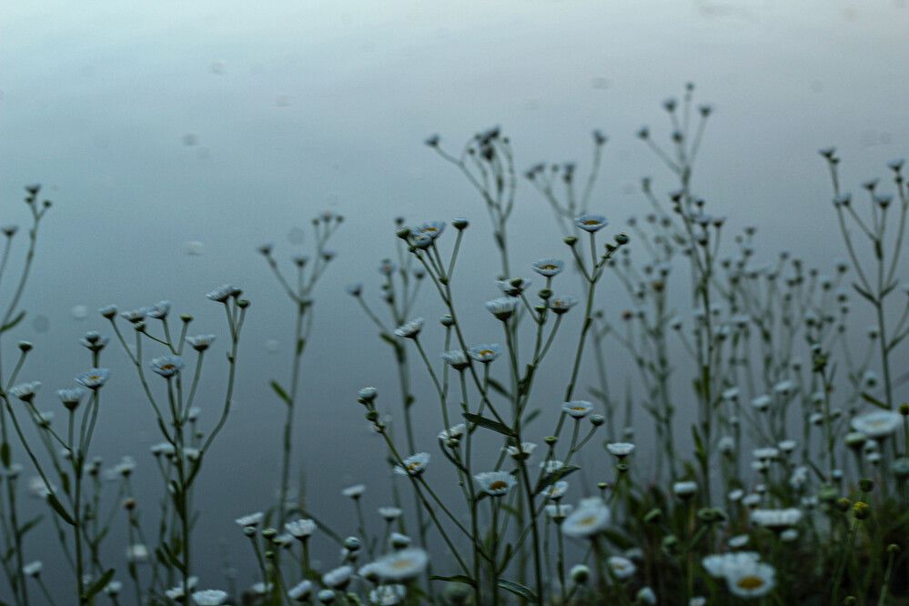 Photograph by Наталия Козлова