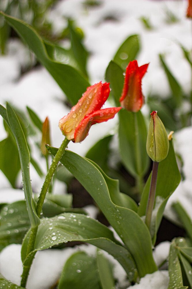 Photograph by Наталия Козлова