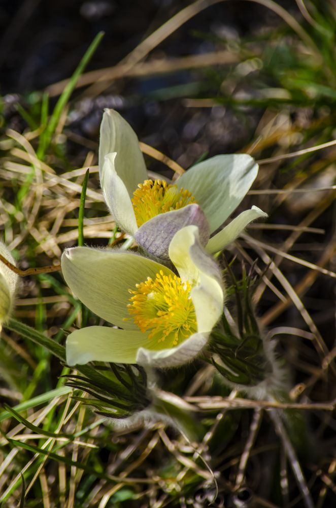 Photograph by Юлиана Иванова