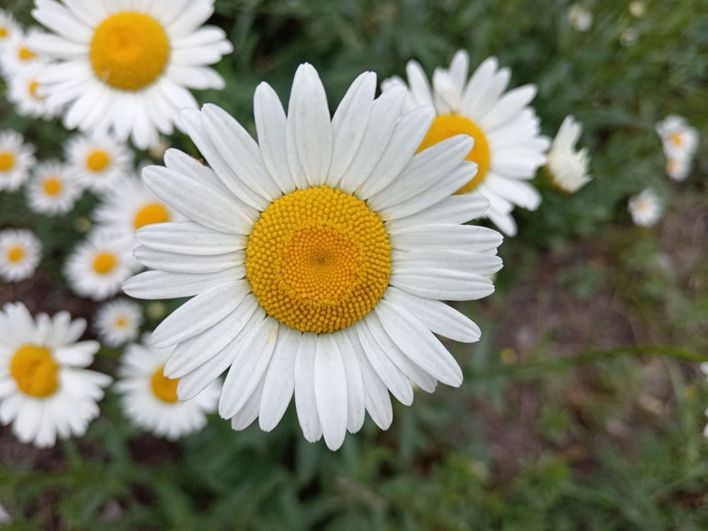 Photograph by Юлиана Иванова