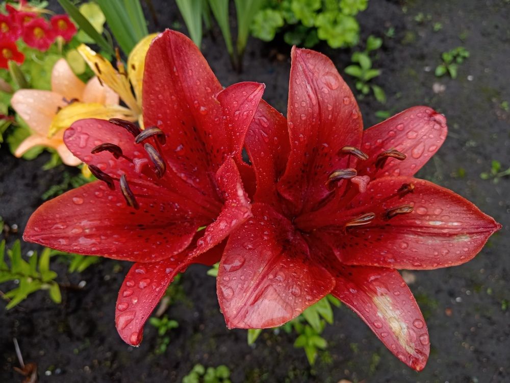 Photograph by Юлиана Иванова