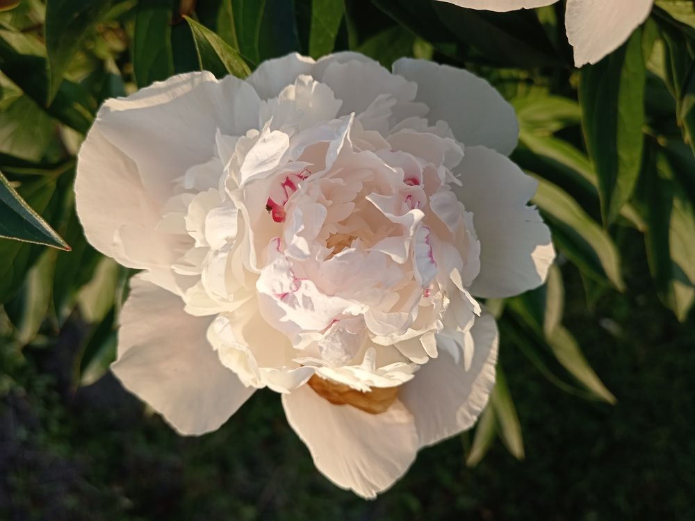 Photograph by Юлиана Иванова