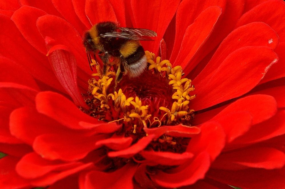 Photograph by Николай Леухин