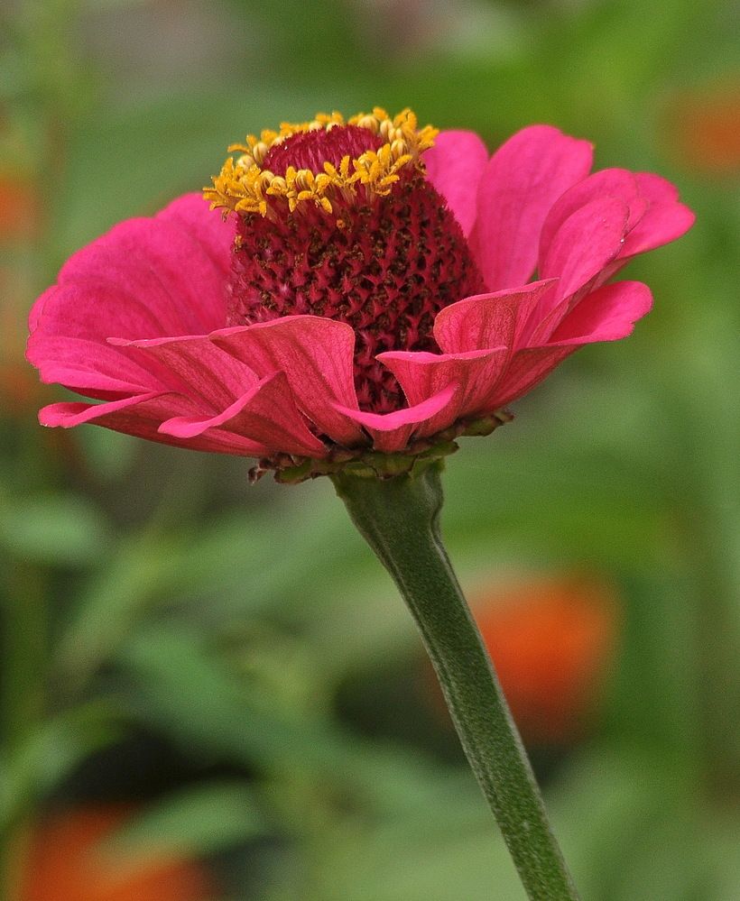 Photograph by Николай Леухин