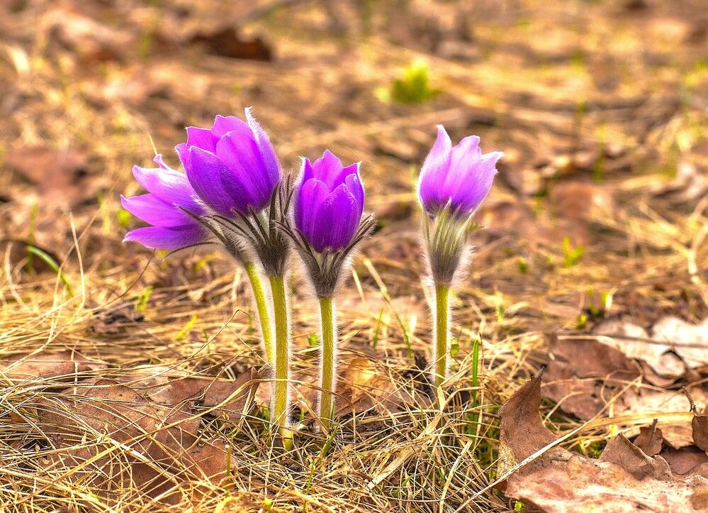 Photograph by Алексей Сиваков