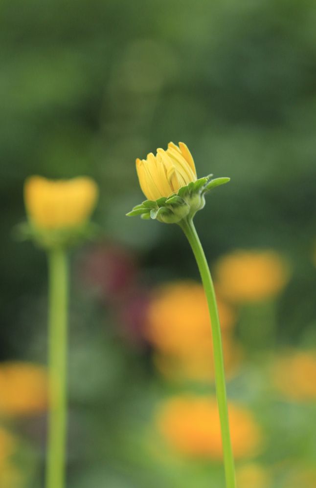 Photograph by Екатерина Иванова