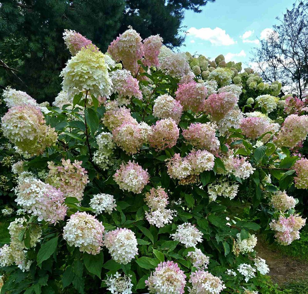 Photograph by Тамара Шкарупа