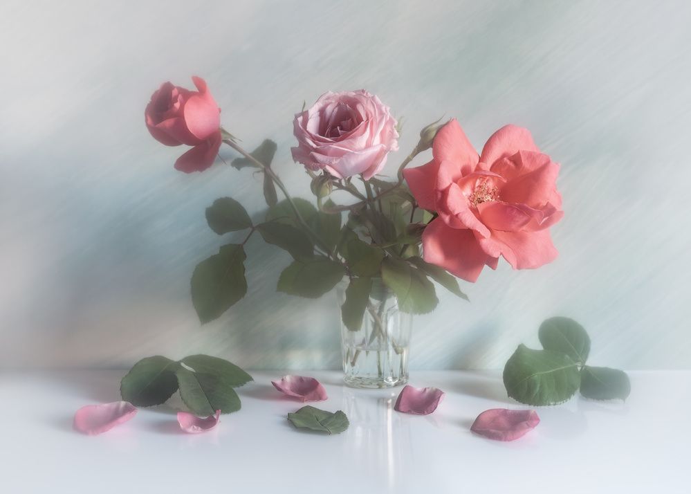 Photograph by Владимир Тузлай