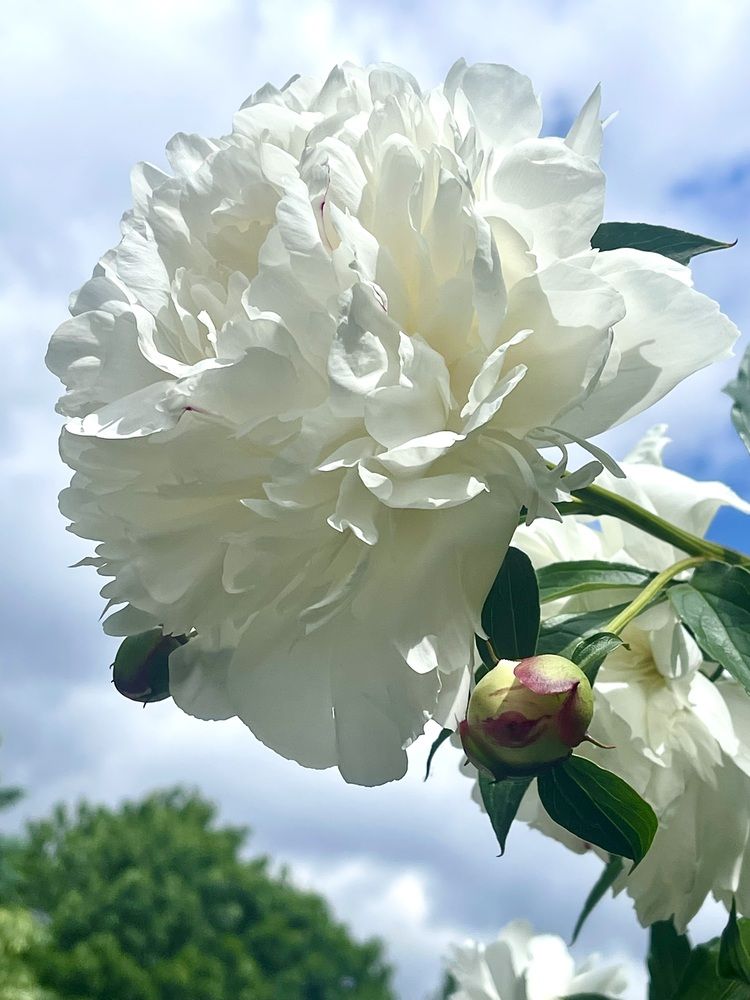 Photograph by Елена Сушкова