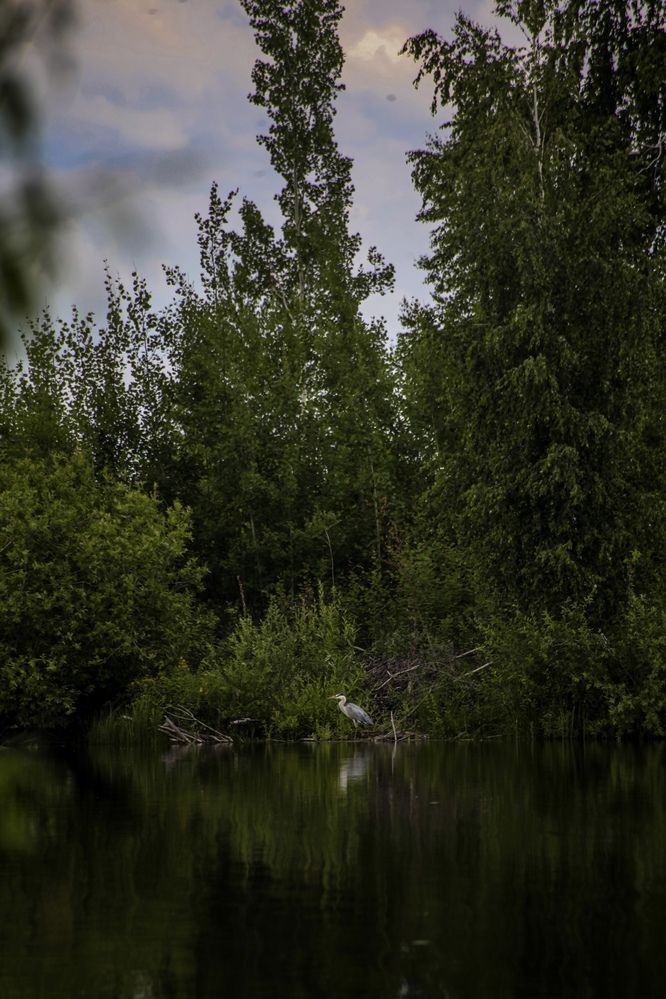 Photograph by Olivka Ulyanova
