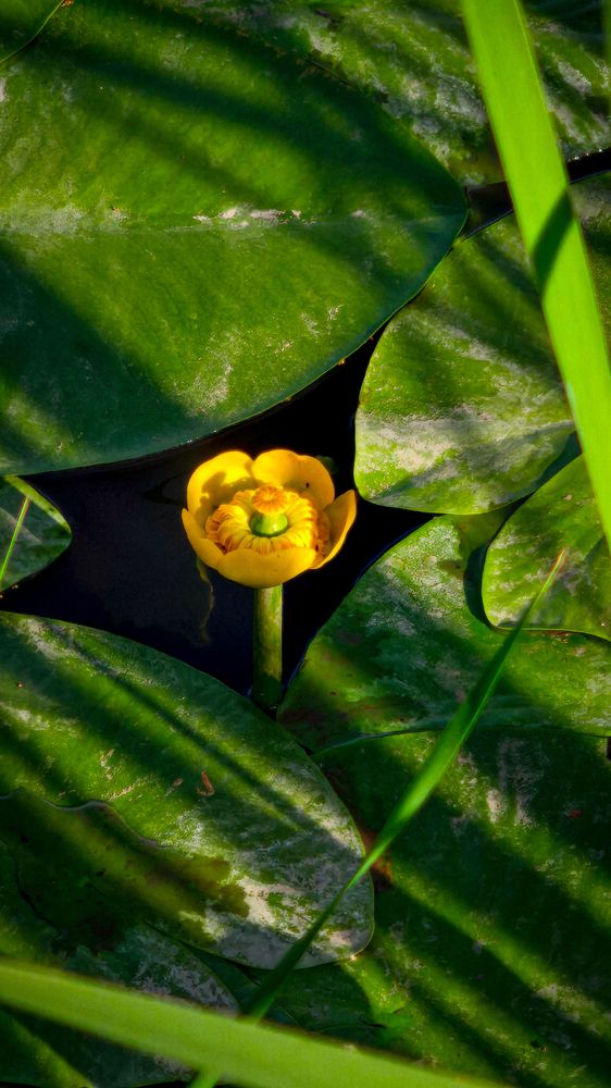 Фотография автора Руслан Токмагамбетов