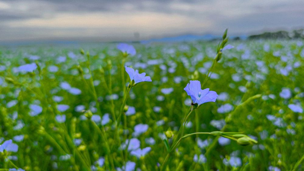 Фотография автора Руслан Токмагамбетов