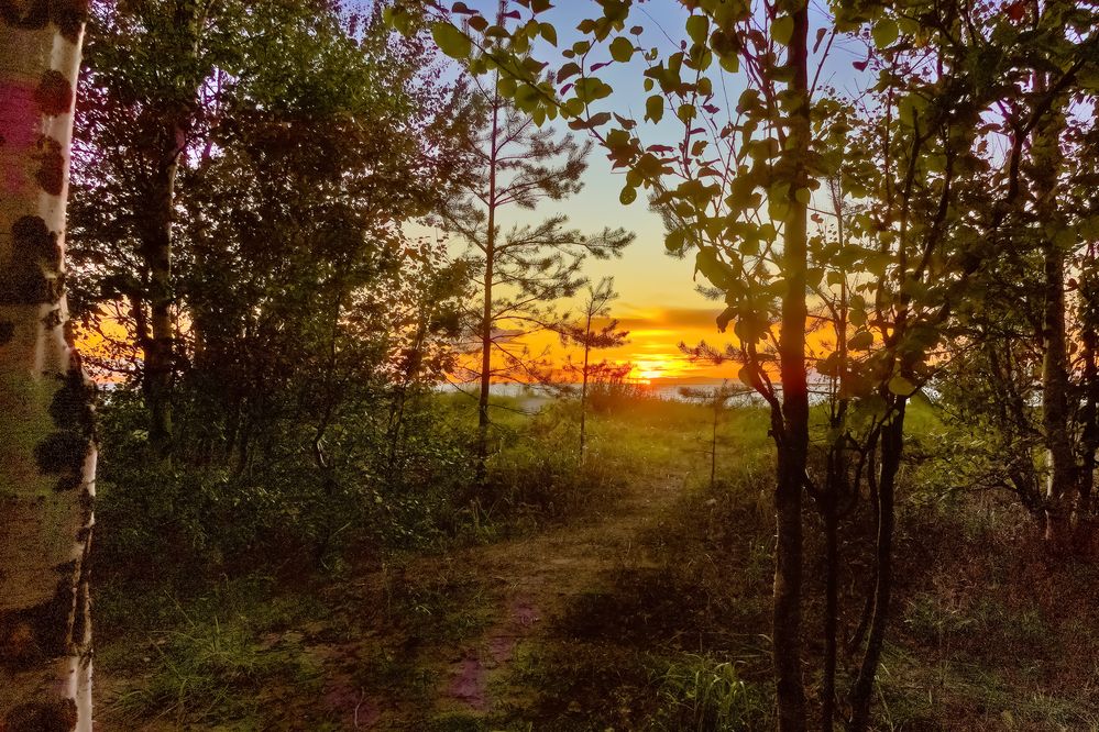 Photograph by Юрий Листов