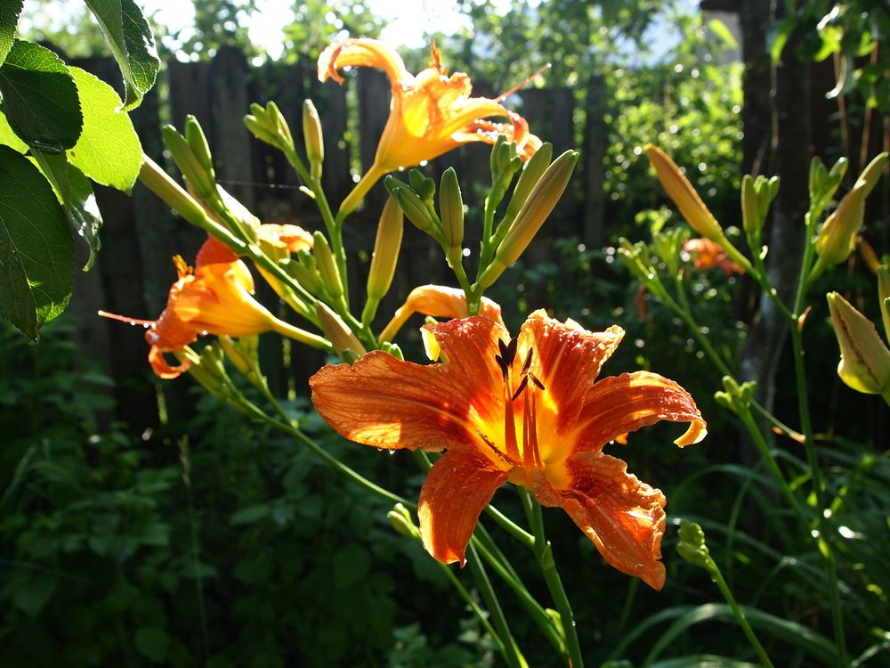 Photograph by Михаил Строев