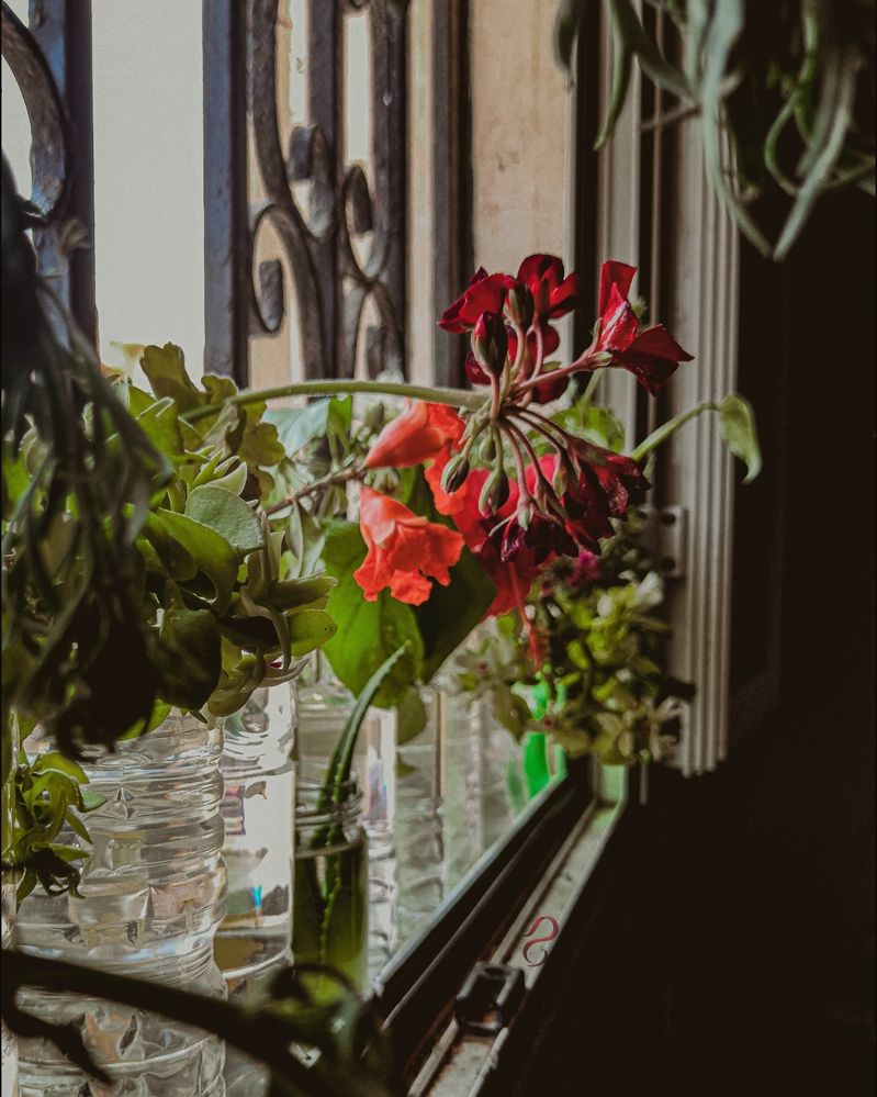 Photograph by ghufran Alim