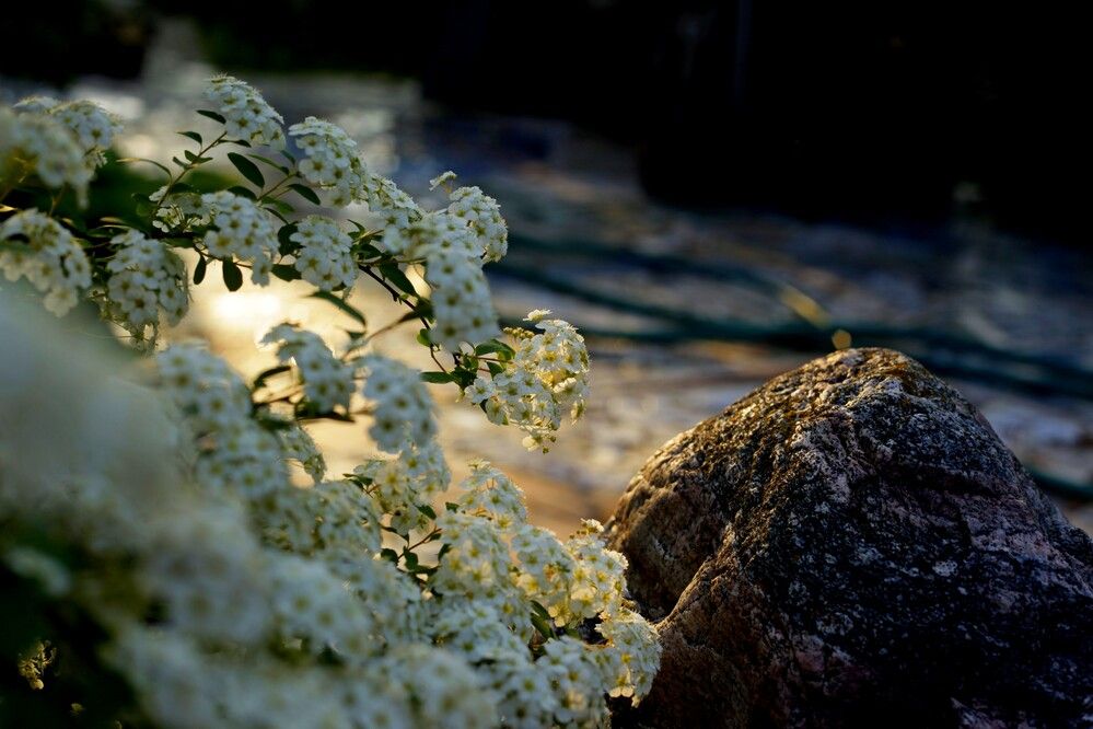 Photograph by Михаил Строев