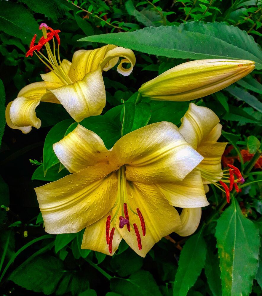 Photograph by Jobove Reus