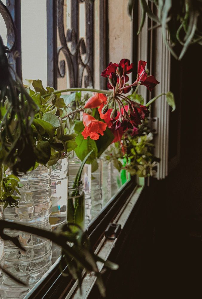 Photograph by ghufran Alim