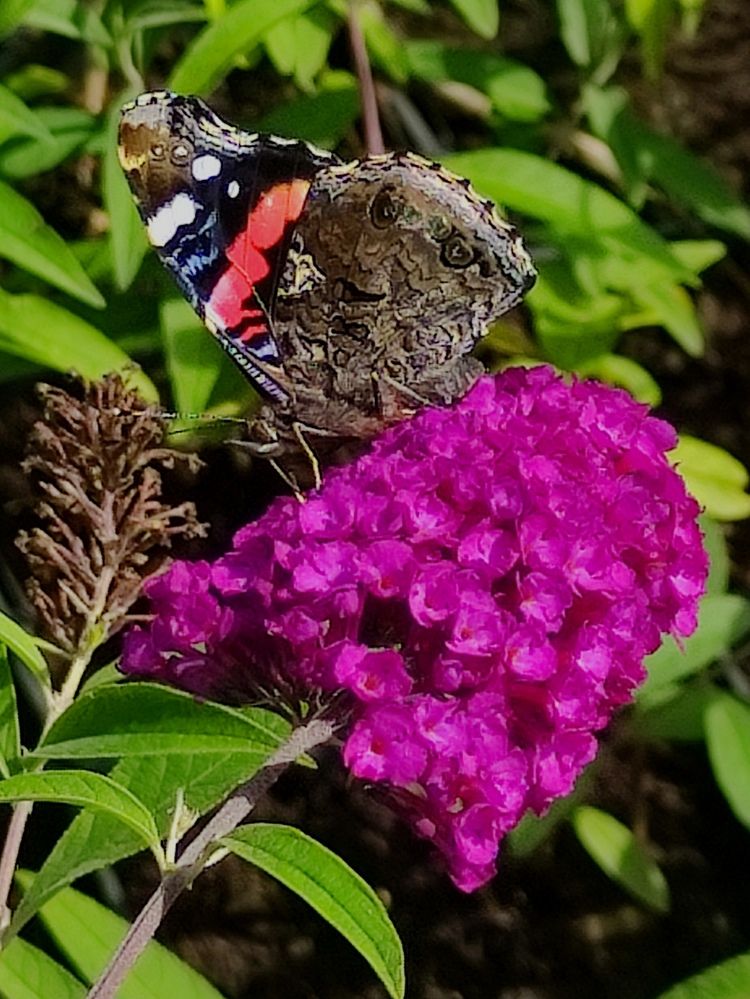 Photograph by Marina Podlesnaya