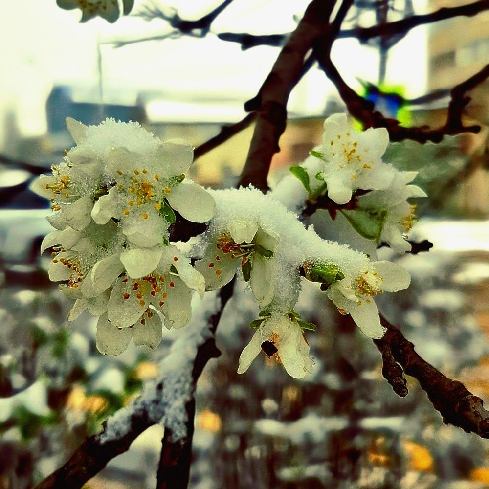 Photograph by Милана Кадиева