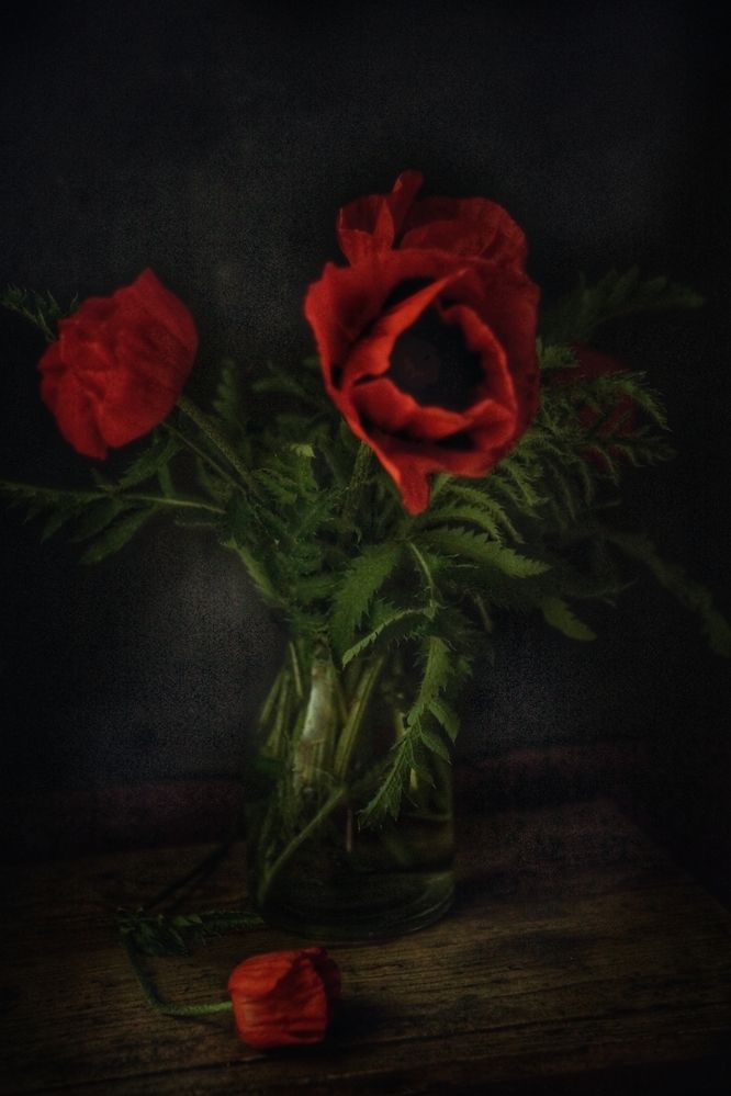 Photograph by Елена Майорова