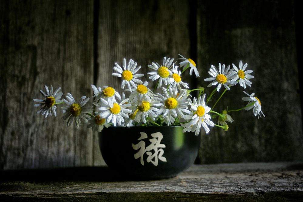 Photograph by Vitaliy Saposhnikov