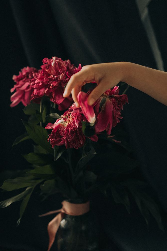 Photograph by Бальзирова Наталья