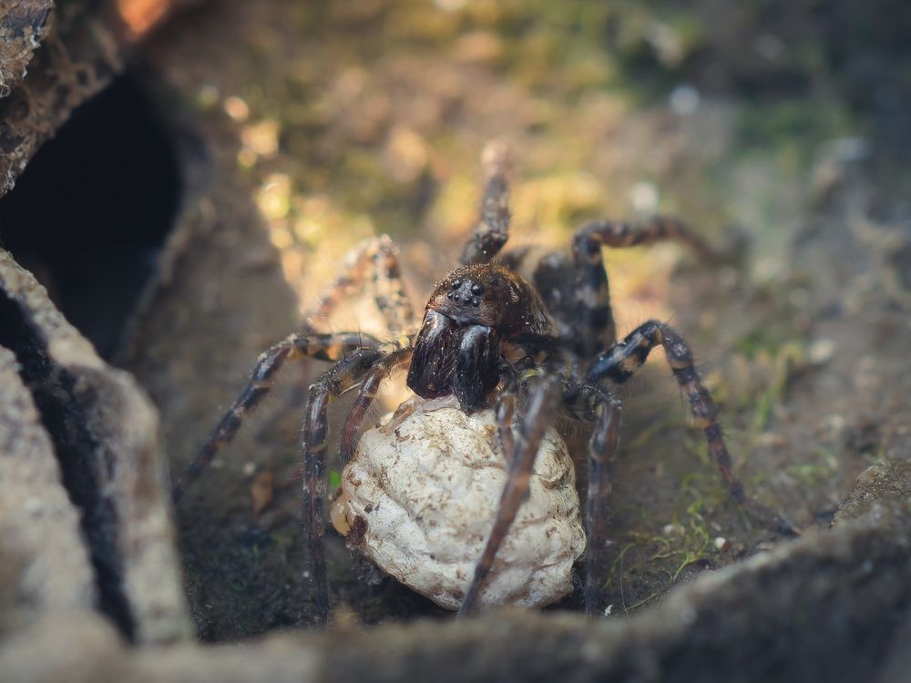 Photograph by Юрий Говорков