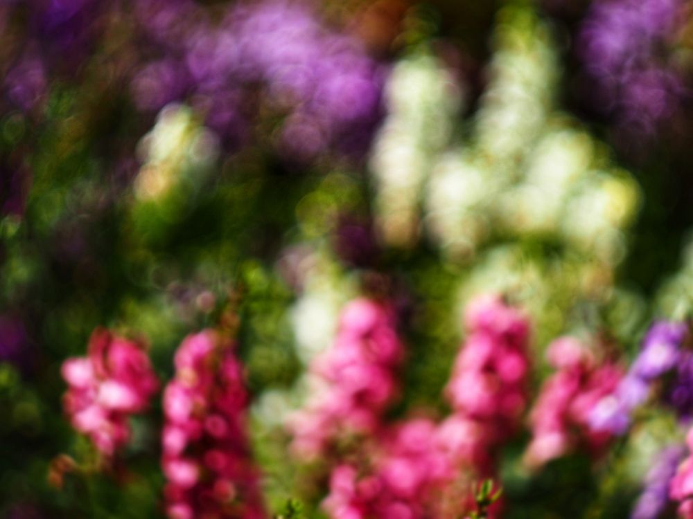 Photograph by Любовь