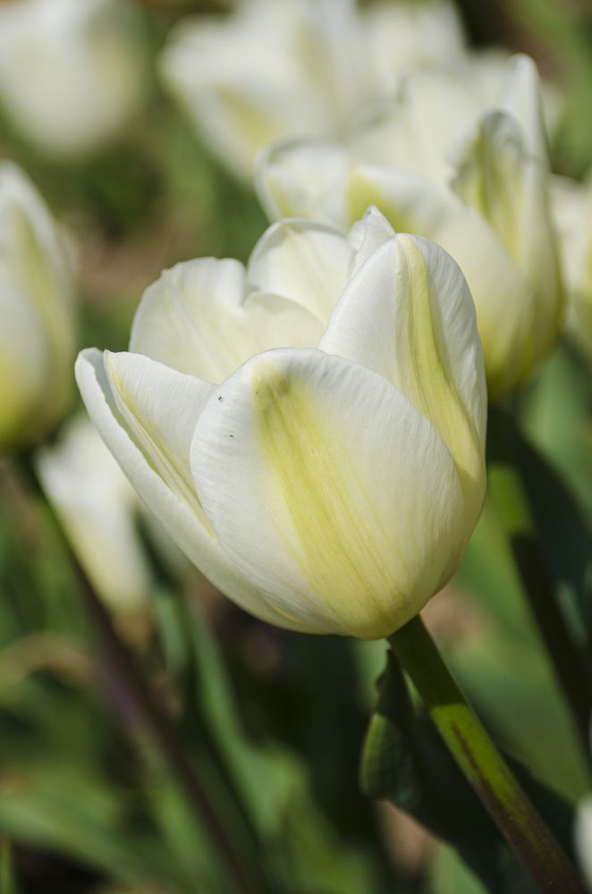 Photograph by Надежда Михайлина