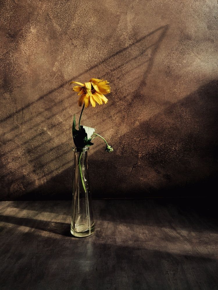 Photograph by Надежда Горчакова