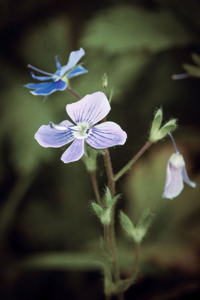 Photograph by Сергей Назаредский
