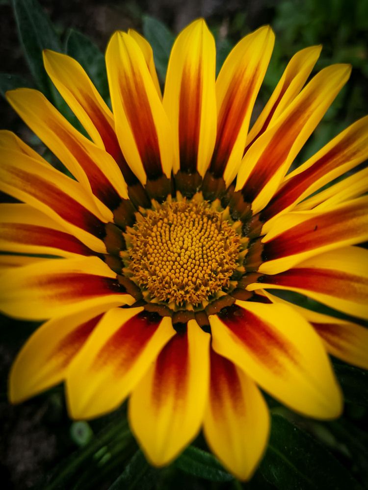 Photograph by Сергей Назаредский