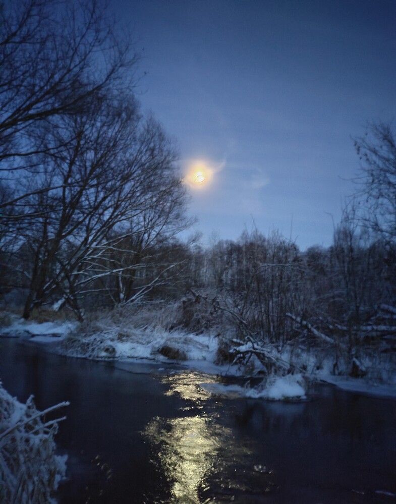 Photograph by Галина Бессуднова