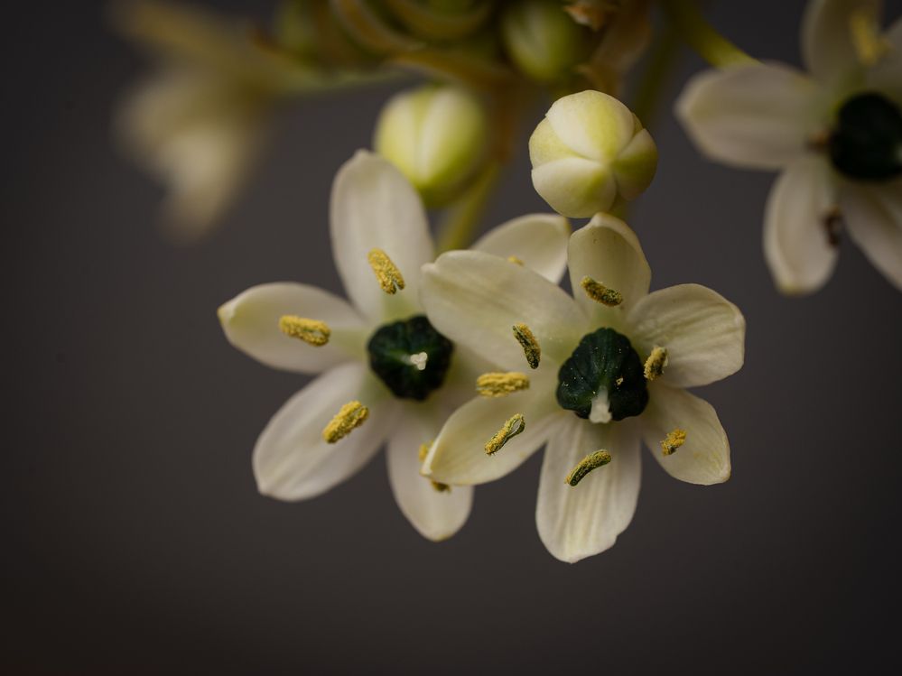 Фотография автора Татьяна Брык