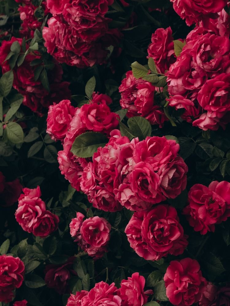 Photograph by Екатерина Щербинина