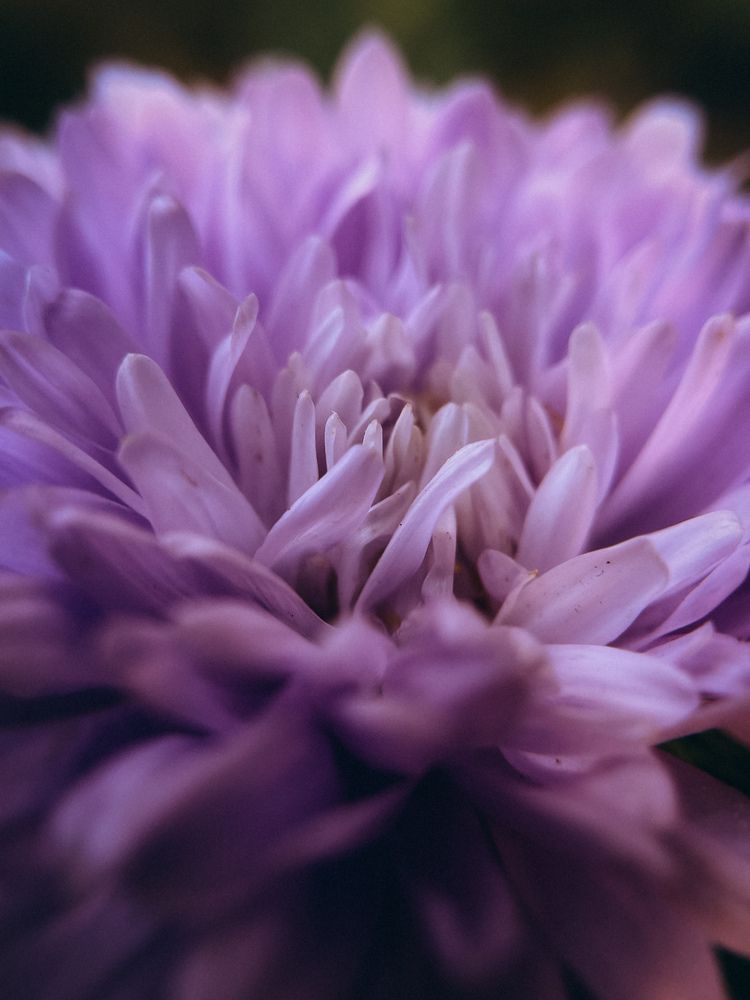 Photograph by Екатерина Щербинина