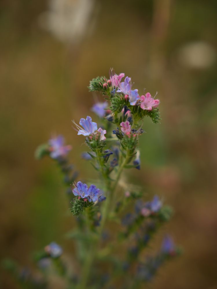 Фотография автора Татьяна Брык