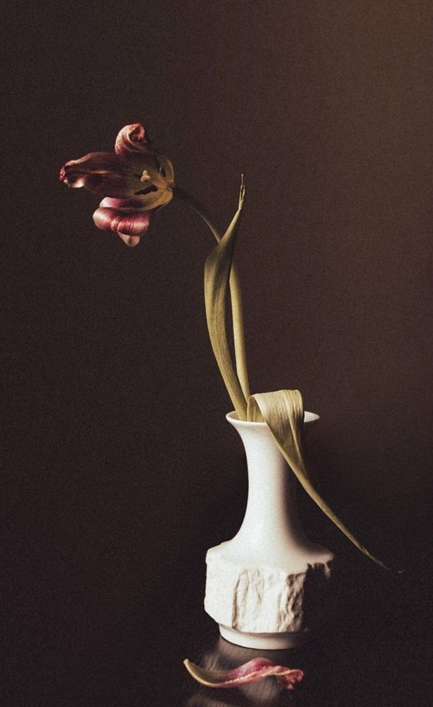 Photograph by Юлия Новоселецкая