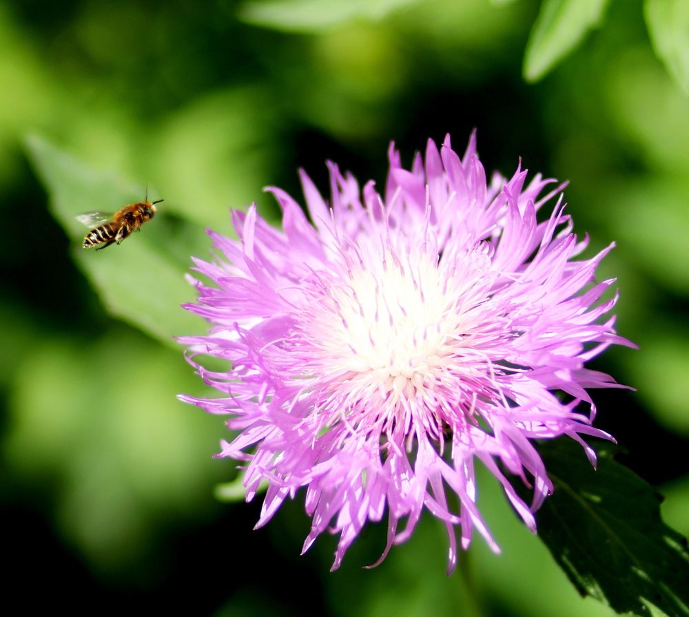 Photograph by Татьяна Леонтьева