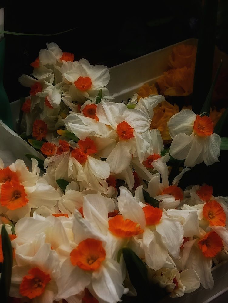 Photograph by Севиля Вейсалова