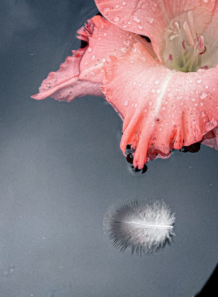 Фотография автора Anastasia Struna