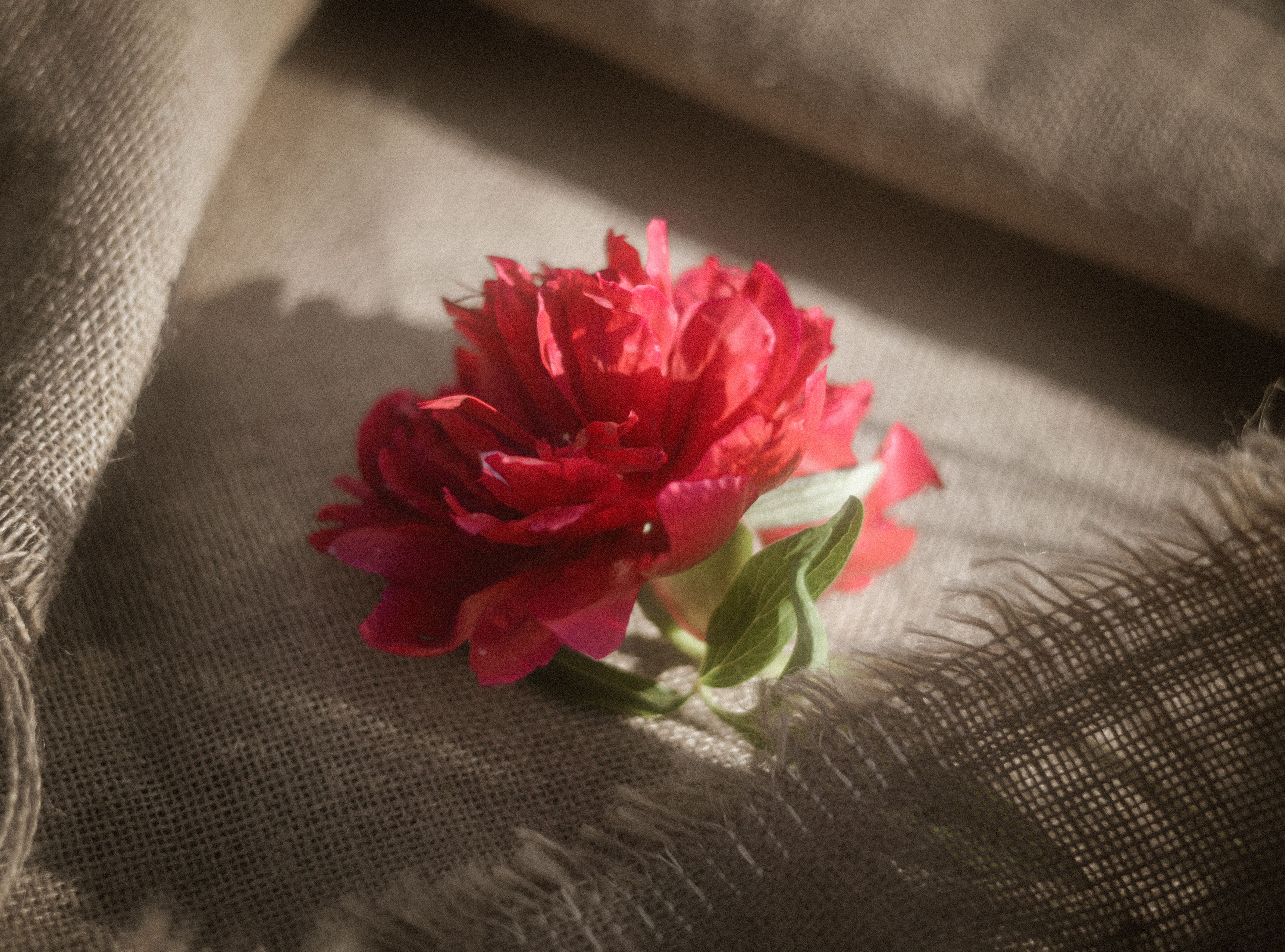 Фотография автора Anastasia Struna