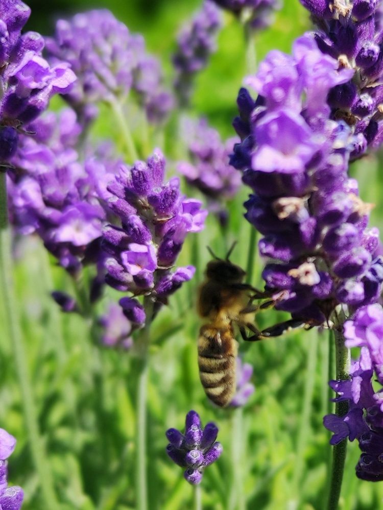 Photograph by Marina Podlesnaya