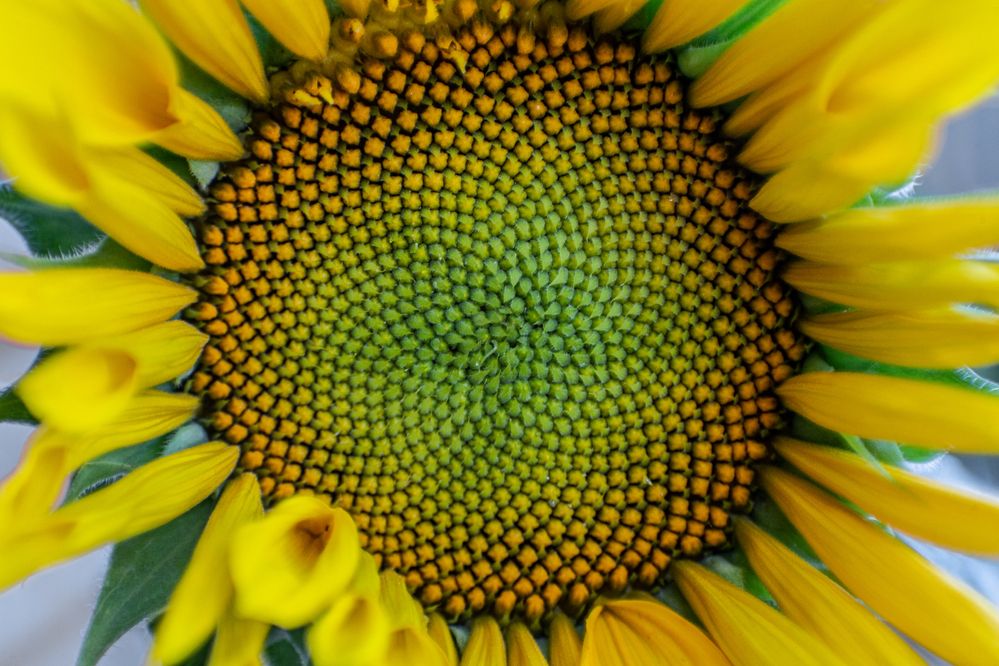 Photograph by Antonio Cascales